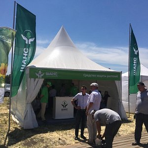 Сельскохозяйственная высставка РОСАГРОСЕРВИС