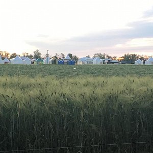 Сельскохозяйственная высставка РОСАГРОСЕРВИС