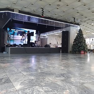 Жемчужина Новый год 2023